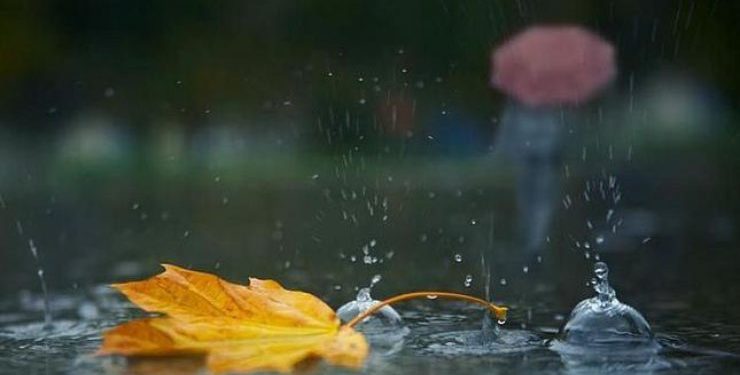 В Молдове ожидаются ливни и грозы