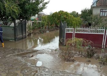 Ploaia puternică a făcut prăpăd în mai multe raioane ale țării: Zeci de gospodării au fost inundate, drumurile s-au transformat în adevărate lacuri | VIDEO