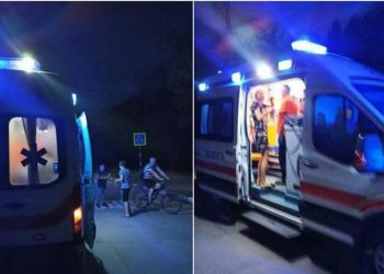 Un roi de albine a atacat mai multe persoane într-un parc din Bălți. Două persoane, la spital