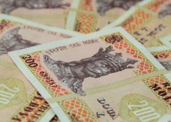 AIPA продолжает принимать заявки от агрохозяйств на компенсацию по ущербу от засухи