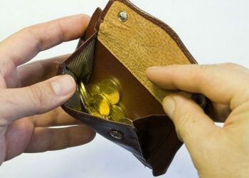 AIPA продолжает принимать заявки от агрохозяйств на компенсацию по ущербу от засухи