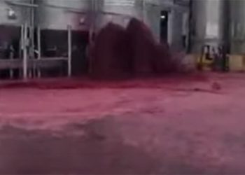 Испанский завод затопило вином