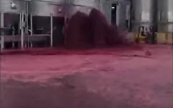 Испанский завод затопило вином