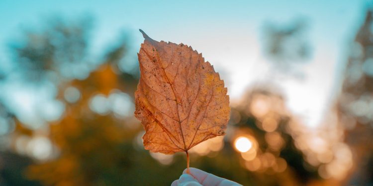 Meteorologii au emis două Coduri Galbene pentru următoarele zile