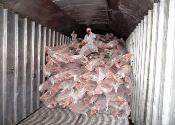 „Moştenire” impresionantă de la o întreprindere de stat: carne şi peste alterat, păstrat tocmai din anul 2011