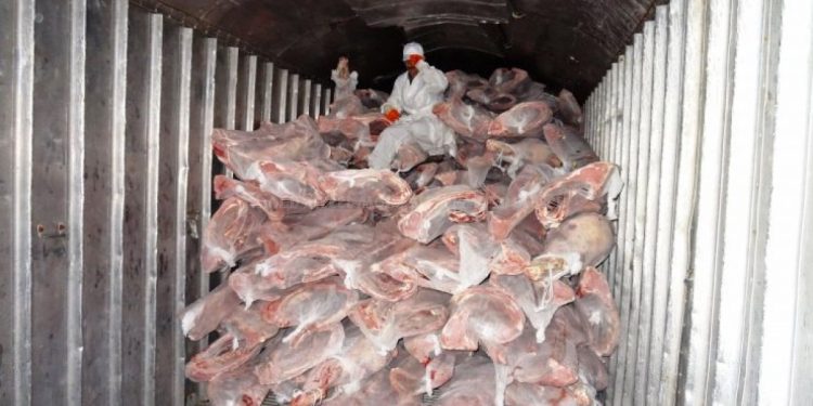 „Moştenire” impresionantă de la o întreprindere de stat: carne şi peste alterat, păstrat tocmai din anul 2011