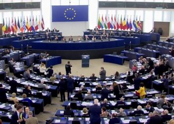 Europarlamentari: Vedem tot mai multe nereguli electorale. Partidul președintelui Dodon este lipsit de rușine și de scrupule