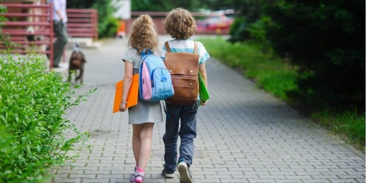 Precizările Ministerului Educației, în contextul instituirii „Codului Roșu”. Cum vor activa instituțiile de învățământ de la 1 octombrie