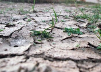 Septembrie – bântuit de secetă: doar în două raioane din Moldova au căzut precipitații cât norma