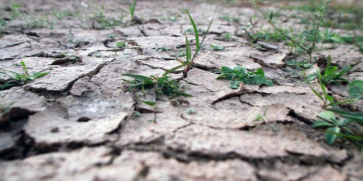 Septembrie – bântuit de secetă: doar în două raioane din Moldova au căzut precipitații cât norma