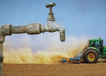 Aviz negativ de la Guvern: Starea de urgență în agricultură nu va fi instituită | VIDEO