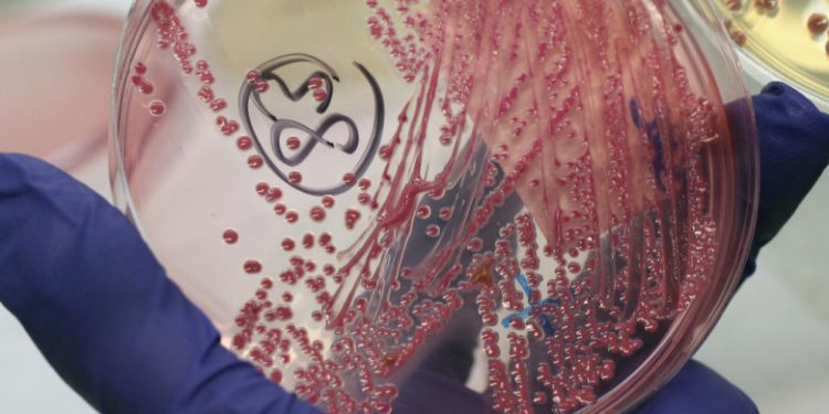 Ce este bruceloza, noua epidemie care a izbucnit în China, după o scurgere de la o fabrică biofarmaceutică