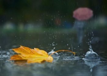 Синоптики предупреждают: По всей территории Молдовы пройдут дожди