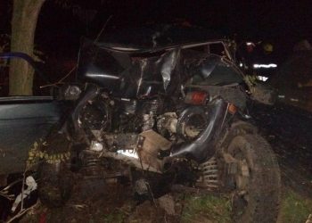 Смертельное ДТП В Леово: Авто превратилось в груду металла после столкновения с деревом