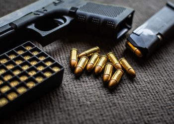 Полиция с начала года изъяла почти тысячу единиц оружия