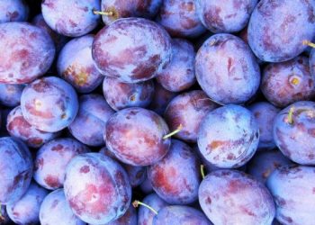 В Россию не пропустили около 20 тонн слив из Молдовы