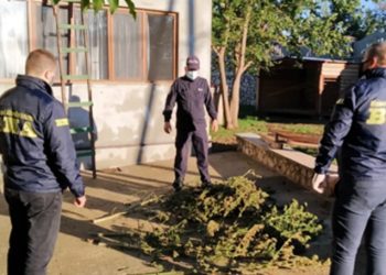 Substanțe narcotice, descoperite în două gospodării din Glodeni