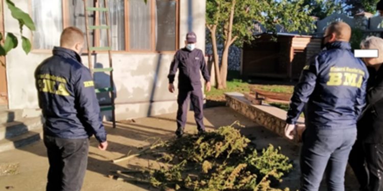 Substanțe narcotice, descoperite în două gospodării din Glodeni