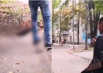 Caz revoltător în Chișinău: Un bărbat a aruncat un cățel de la etajul 4