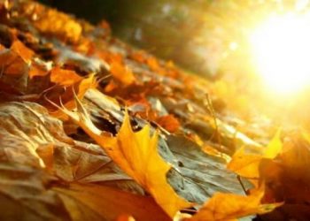 Săptămâna începe cu temperaturi generoase