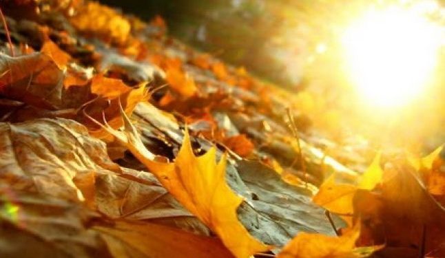 Săptămâna începe cu temperaturi generoase