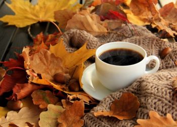 Vremea se răcește. Vom avea ploi și temperaturi scăzute noaptea