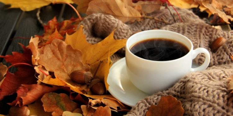 Vremea se răcește. Vom avea ploi și temperaturi scăzute noaptea