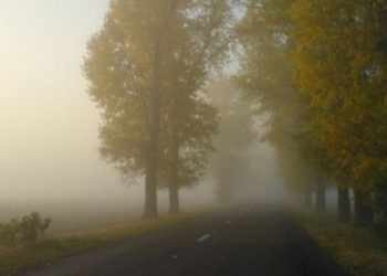 Atenționare meteo. O parte din teritoriul R. Moldova, sub Cod Galben de ceață