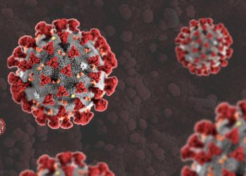 833 noi cazuri de infectare cu COVID-19 și 14 cazuri de deces, înregistrate în Moldova în ultimele 24 de ore