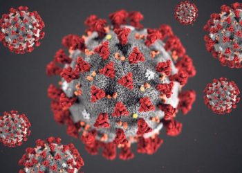 Продлен срок применения ряда мер по контролю инфекции COVID-19