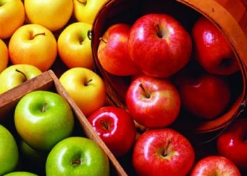 R. Moldova a devenit unul dintre liderii mondiali la exportul de mere