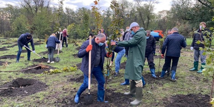 În timp ce Igor Dodon plantează copaci, ecologiștii spun că arborii n-au șanse să se prindă: „E devreme pentru plantare”