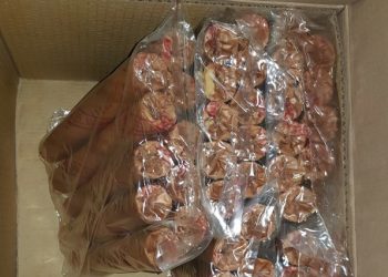 Încălcări majore, depistate de SIS la unele depozite de materiale explozibile din R. Moldova