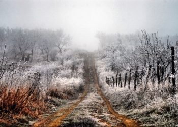 Codul Galben de îngheț a intrat în vigoare. Până când se va menține avertizarea meteorologică