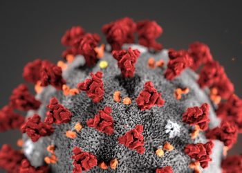 Ещё 777 случаев заражения вирусом COVID-19. За последние сутки умерло 11 человек | VIDEO