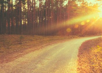 Cum va fi vremea în următoarele zile