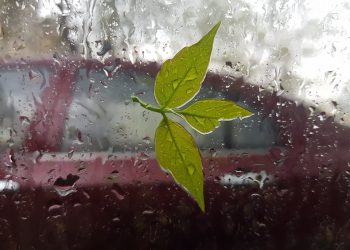 Procuratura Generală a luat decizii în 19 din cele 38 de dosare penale pretins politice