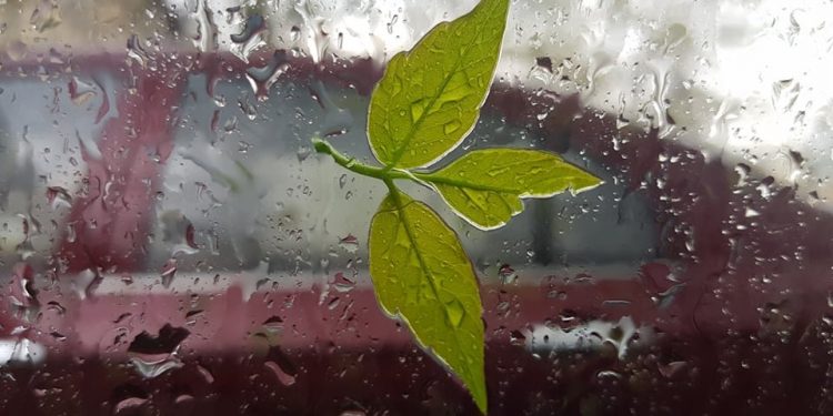 Procuratura Generală a luat decizii în 19 din cele 38 de dosare penale pretins politice