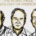 Premiul Nobel pentru medicină: Distincția a fost oferită pentru descoperirea virusului hepatitei C | VIDEO