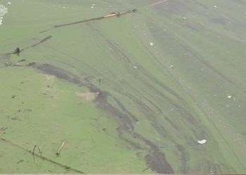 Apa din lacul de la ”Valea Morilor”, din Chișinău, a înverzit. Locuitorii orașului sunt nemulțumiți. Ce spun autoritățile | VIDEO