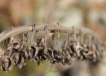 Fermierii nu exclud organizarea protestelor în Chișinău: „Trebuia de declarat stare excepțională în agricultură la nivel de țară”