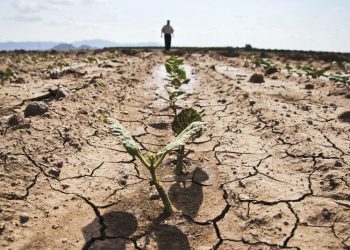 Violeta Ivanov: „Eu știu cum în patru ani să rezolvăm problema secetei în R. Moldova!”