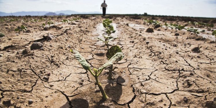 Violeta Ivanov: „Eu știu cum în patru ani să rezolvăm problema secetei în R. Moldova!”