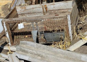 „Să vină acum să ne audă strigătul sufletului, nu doar la alegeri”. Mărturiile victimelor inundațiilor din Găgăuzia