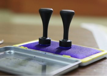 Promo-LEX a publicat raportul de monitorizare a alegerilor prezidențiale. A crescut numărul persoanelor care votează acasă