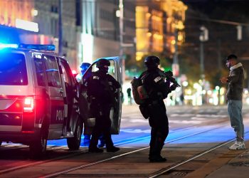 Трое погибших, 16 раненых. Глава МВД Австрии назвал террориста радикальным исламистом. Что еще известно о теракте в Вене