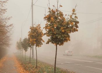 Alertă meteo: Cod Galben de ceață. Zonele vizate, riscuri și recomandări