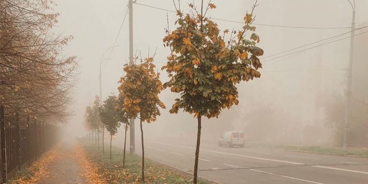 Alertă meteo: Cod Galben de ceață. Zonele vizate, riscuri și recomandări