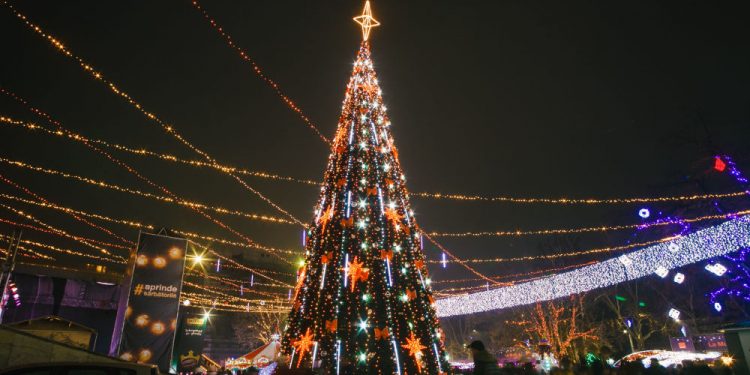 Главная ёлка страны всё-таки будет установлена | VIDEO