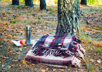 Vremea se încălzește din nou. Prognoza meteo pentru următoarele zile